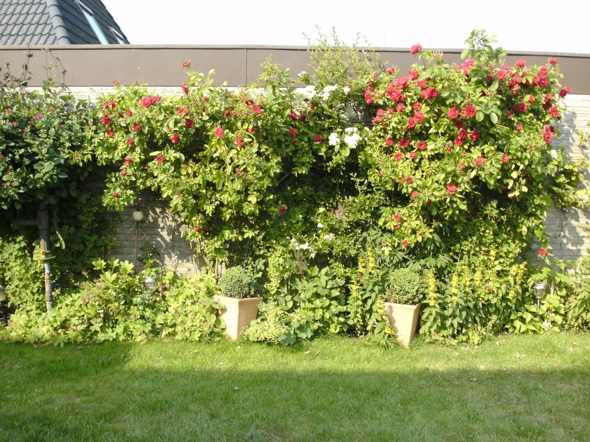 Haus Mit Lilie Und Rose Apartment Westerdeichstrich ภายนอก รูปภาพ